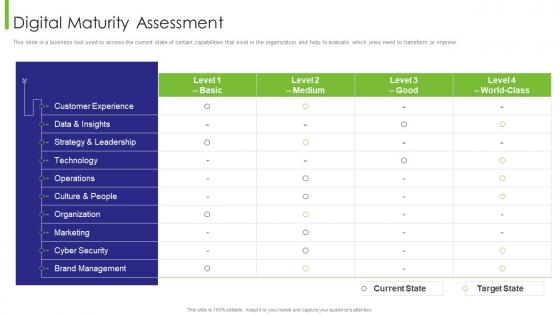 Business Transition Digital Maturity Assessment Ppt Layouts Topics