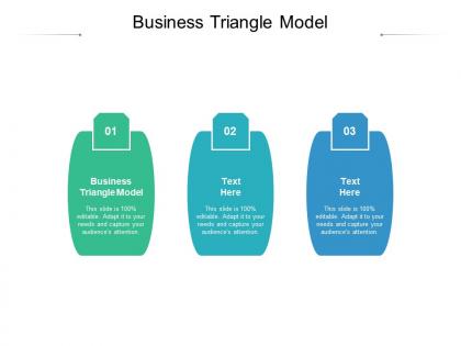 Business triangle model ppt powerpoint presentation show example cpb