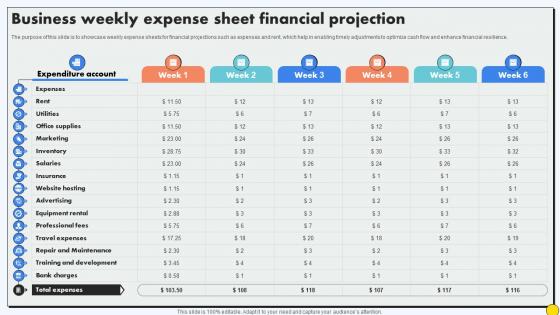 Business Weekly Expense Sheet Financial Projection