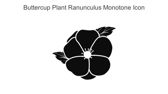Buttercup Plant Ranunculus Monotone Icon In Powerpoint Pptx Png And Editable Eps Format
