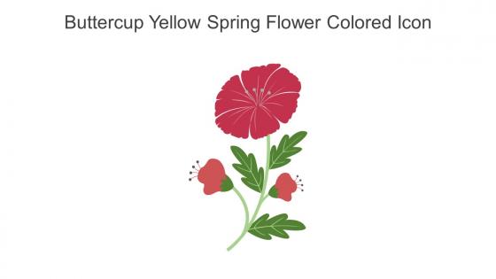 Buttercup Yellow Spring Flower Colored Icon In Powerpoint Pptx Png And Editable Eps Format