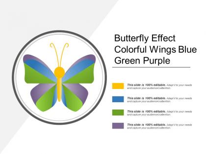 Butterfly effect colorful wings blue green purple
