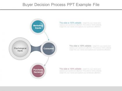 Buyer decision process ppt example file