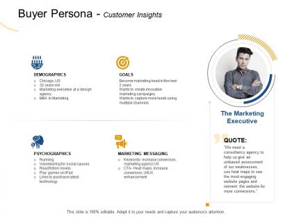 Buyer persona customer insights messaging ppt powerpoint presentation outline shapes