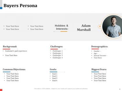 Buyers persona n434 powerpoint presentation portrait