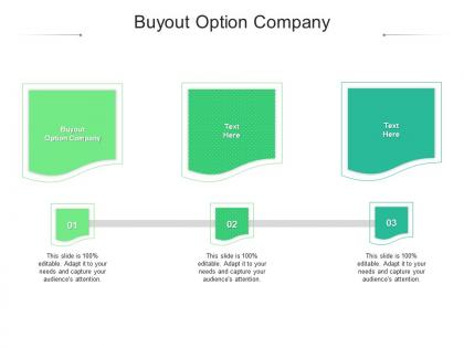 Buyout option company ppt powerpoint presentation show clipart images cpb