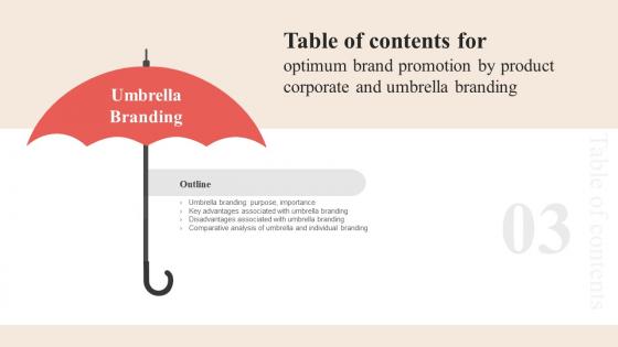 C55 Optimum Brand Promotion By Product Corporate And Umbrella Branding Table Of Contents
