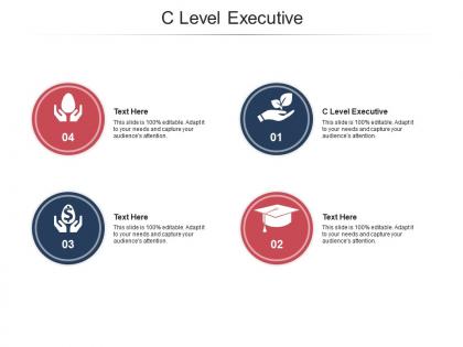 C level executive ppt powerpoint presentation icon elements cpb