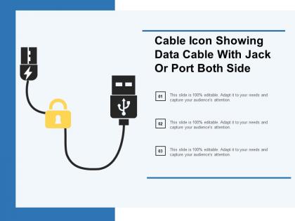 Cable icon showing data cable with jack or port both side