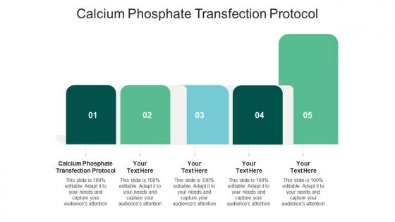 Calcium phosphate transfection protocol ppt powerpoint presentation professional mockup cpb