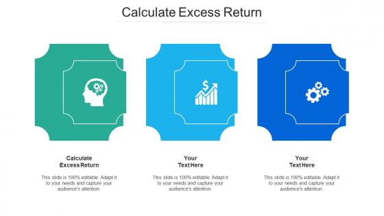 Calculate excess return ppt powerpoint presentation ideas visual aids cpb
