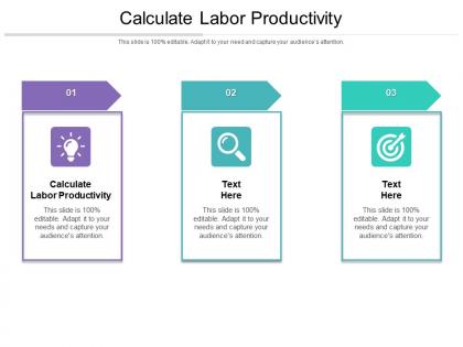 Calculate labor productivity ppt powerpoint presentation ideas templates cpb