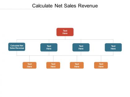 Calculate net sales revenue ppt powerpoint presentation inspiration background cpb