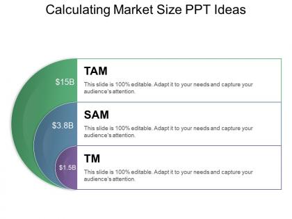 Calculating market size ppt ideas