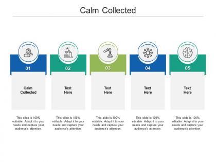 Calm collected ppt powerpoint presentation styles mockup cpb