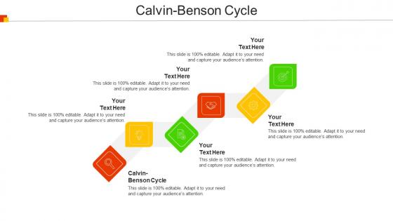 Calvin Benson Cycle Ppt Powerpoint Presentation Show Information Cpb