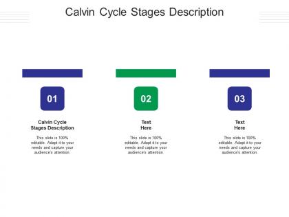 Calvin cycle stages description ppt powerpoint presentation layouts rules cpb