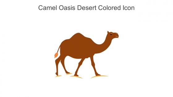 Camel Oasis Desert Colored Icon In Powerpoint Pptx Png And Editable Eps Format