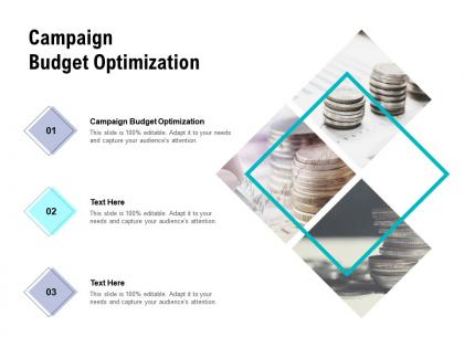 Campaign budget optimization ppt powerpoint presentation layouts deck cpb