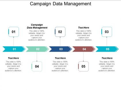 Campaign data management ppt powerpoint presentation file designs cpb