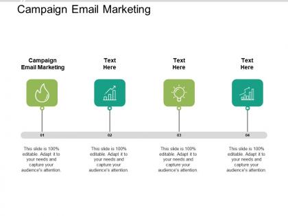Campaign email marketing ppt powerpoint presentation infographic template inspiration cpb