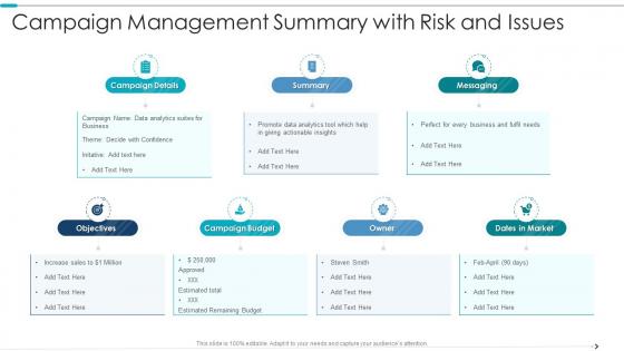 Campaign Management Summary With Risk And Issues