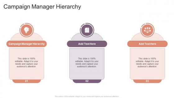 Campaign Manager Hierarchy In Powerpoint And Google Slides Cpb