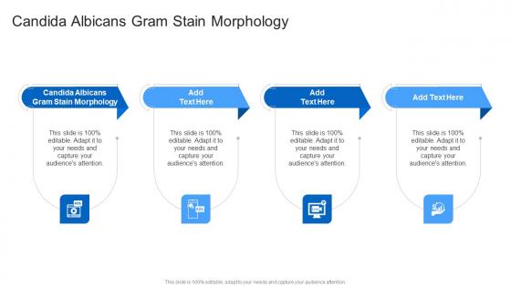 Candida Albicans Gram Stain Morphology In Powerpoint And Google Slides Cpb