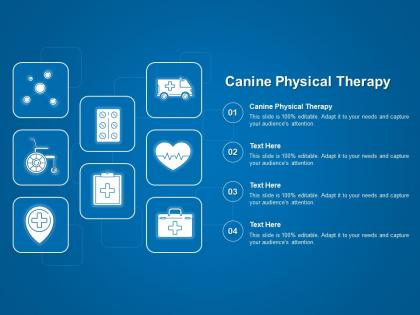 Canine physical therapy ppt powerpoint presentation professional templates