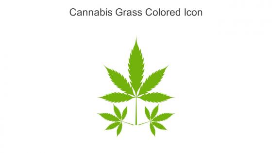 Cannabis Grass Colored Icon In Powerpoint Pptx Png And Editable Eps Format