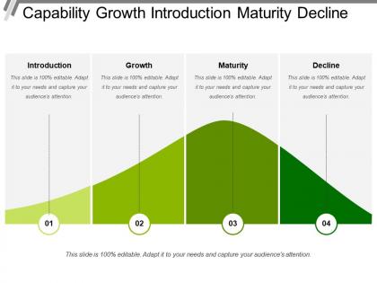 Capability growth introduction maturity decline