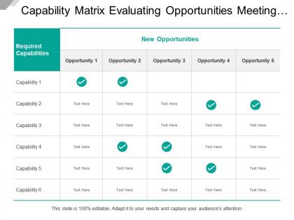 Capability matrix evaluating opportunities meeting criteria on required category