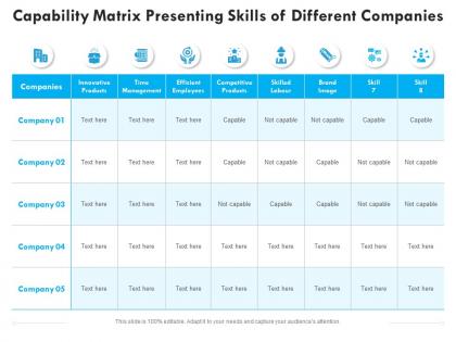 Capability matrix presenting skills of different companies