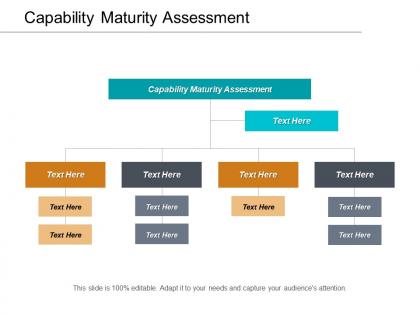Capability maturity assessment ppt powerpoint presentation layouts model cpb
