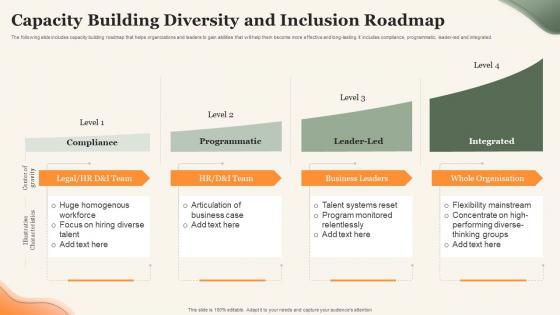 Capacity Building Diversity And Inclusion Roadmap