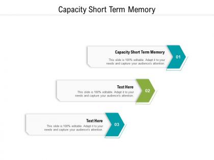 Capacity short term memory ppt powerpoint presentation icon example file cpb