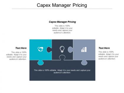 Capex manager pricing ppt powerpoint presentation gallery example topics cpb