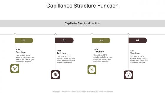 Capillaries Structure Function In Powerpoint And Google Slides Cpb