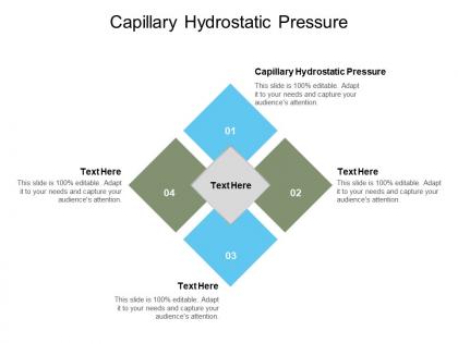 Capillary hydrostatic pressure ppt powerpoint presentation professional file formats cpb