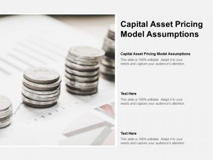 Capital asset pricing model assumptions ppt powerpoint presentation outline example file cpb