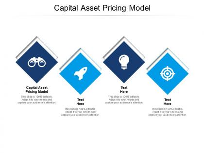Capital asset pricing model ppt powerpoint presentation pictures file formats cpb