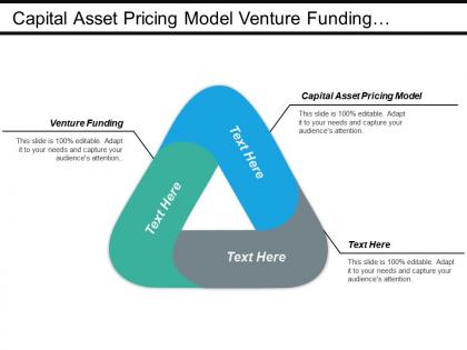 Capital asset pricing model venture funding competence mapping cpb