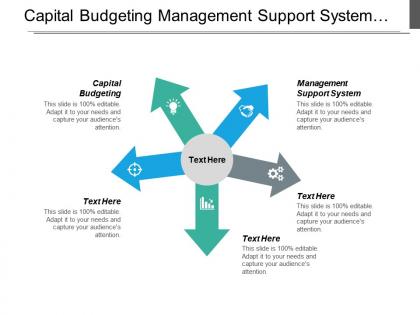 Capital budgeting management support system budget performance report cpb