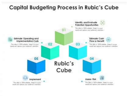 Capital budgeting process in rubics cube
