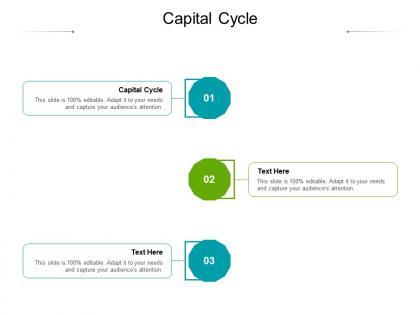 Capital cycle ppt powerpoint presentation show demonstration cpb
