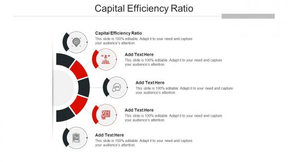 Capital Efficiency Ratio Ppt Powerpoint Presentation Professional Layout Cpb