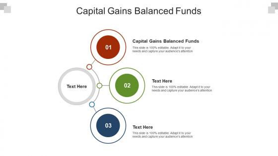 Capital gains balanced funds ppt powerpoint presentation show elements cpb