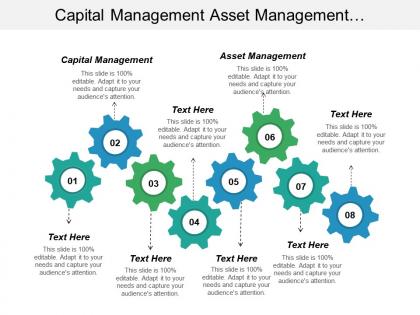 Capital management asset management telecommunications planning marketing distribution cpb