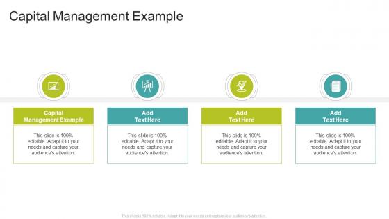 Capital Management Example In Powerpoint And Google Slides Cpb