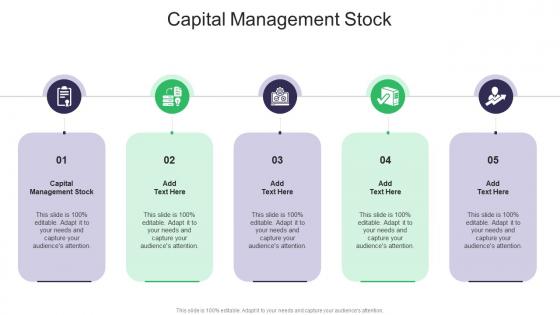 Capital Management Stock In Powerpoint And Google Slides Cpb